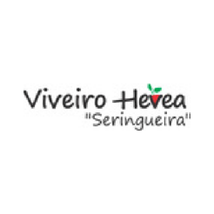 -So-BonePrancheta 38Clientes-